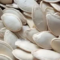 کدو گوشتی ایرانی درجه یک حدود3تن