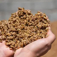 تفاله جو فله و بسته بندی درجه ۱