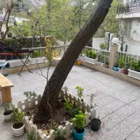 ویلا اجاره روزانه کیلومتر ۵ جاده چالوس