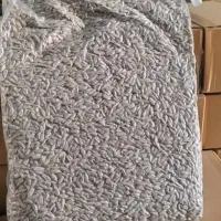 مغز تخمه کیلویی ۶۴۰