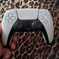 دستهps5