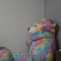 خرس ارتفاع 3 متری طرح آبرنگی