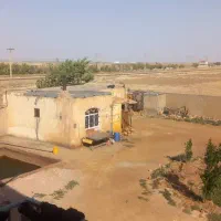 فروش دامداری ۲۰۰ راسی گوشتی|فروش دفتر صنعتی، کشاورزی، تجاری|تاکستان, |دیوار