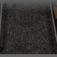 کناره پاتریس