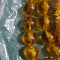 تسبیح کهرب حشره دار دانه بزرگ|جواهرات|سوسنگرد, |دیوار