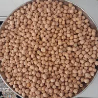نخود تازه