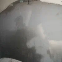 کاپوت زانتیا