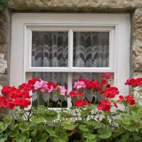 منزل ویلایی دربستی، دو بر              میدان آزادی