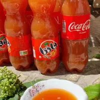 آبغوره|خوردنی و آشامیدنی|دورود, |دیوار