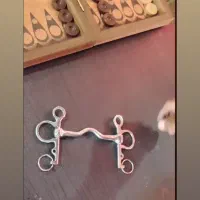 دهنه اسب