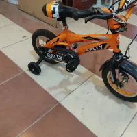 دوچرخه رالی|دوچرخه، اسکیت، اسکوتر|فسا, |دیوار