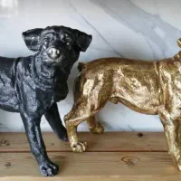 سگ قدرتمندباکسر برنز برنزی