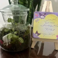 جذب لاین زیبایی