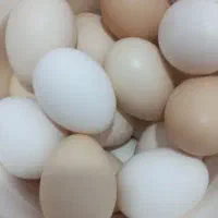 تخم مرغ گلین