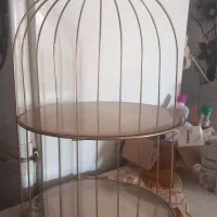 اسنتدقفس طلایی ونقرایی دوطبقه|صنایع دستی و سایر لوازم تزئینی|شاهین‌شهر, شهرک گلدیس|دیوار