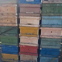 کندو زنبور|حیوانات مزرعه|صحنه, |دیوار