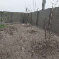 سیمانکاری|خدمات پیشه و مهارت|رودبنه, |دیوار