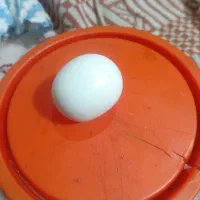 سنگ آسیاب الماس