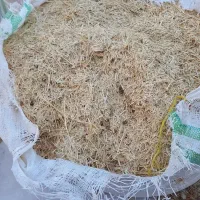 کاه گندم دیم کردستان