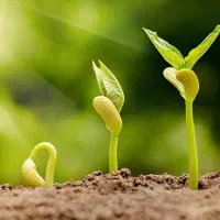ترک اعتیاد در منزل بدون دردخماری