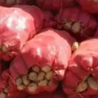 سیب زمینی جلی