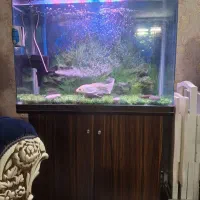 آکواریوم با کمد