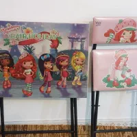 میز صندلی تاشو