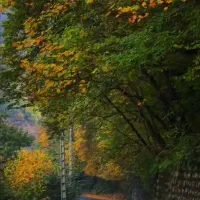 خودرو شخصی