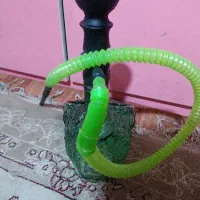 قلیون نو طرح گرگ