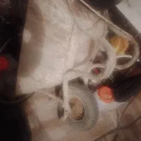 فرغون ارابه