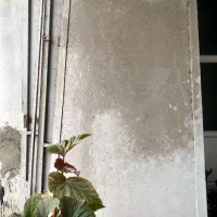 فروش درب ورودی|مصالح و تجهیزات ساختمان|رشت, اسماعیل آباد|دیوار