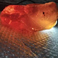 کهربا|جواهرات|نسیم‌شهر, |دیوار