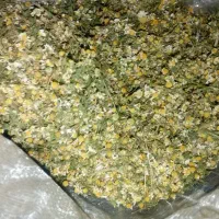 بابونه تمیز