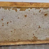 عسل باد آوورد و تلخک و هربع  عسل خاص