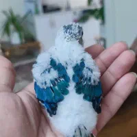 گرینچیک یلوساید ویولت