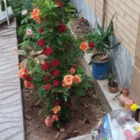 اجاره روزانه/هفتگی/ماهانه آپارتمان ۱۲۰ متری