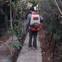 خدمات انواع گل و گیاه|خدمات باغبانی و درختکاری|تهران, اقدسیه|دیوار