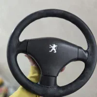 فرمون ۲۰۶ با اایربگ