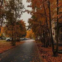 استخدام منشی و نیروی دفتری