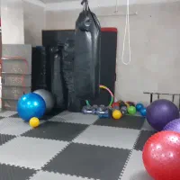 مربی ژیمناستیک‌ورزمی
