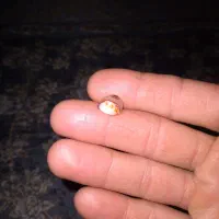 سنگ بابا قوری یخی|کلکسیون اشیاء عتیقه|کرمانشاه, |دیوار