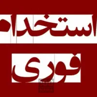 استخدام نیروی فعال با درآمد بالا