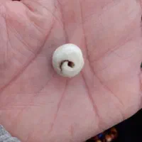 سنگ فیروزه نیشابور و مهره