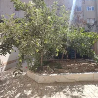 250مترویلایی دربست فارغ تحصیل/توجیح ساخت،زیرفی