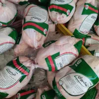 جذب نیروی در شرکت بسته بندی مرغ