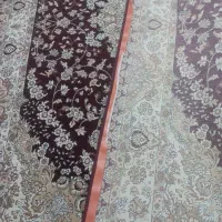 ۶ متری جفت..|فرش|قیدار, |دیوار