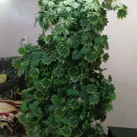 درختچه مصنوعی