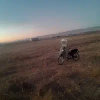 زمین کشاورزی ۸ هزار متر ۱۰۰متر حاشیه|فروش دفتر صنعتی، کشاورزی، تجاری|قوچان, |دیوار