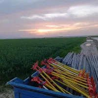 باران مصنوعی