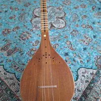 سه تار همراه با کاور